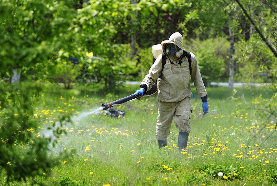 уничтожение комаров калининград